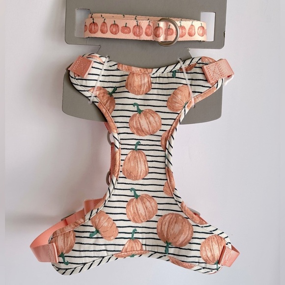Dog London‎ Harness and Leash Set with Pumpkins Fall Harvest Sydney & Co. Sz L - Picture 3 of 10